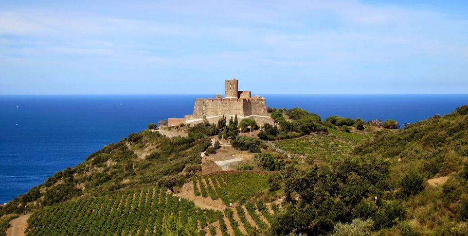 Fort saint Elme avec une vue mer par temps ensoleillé 
